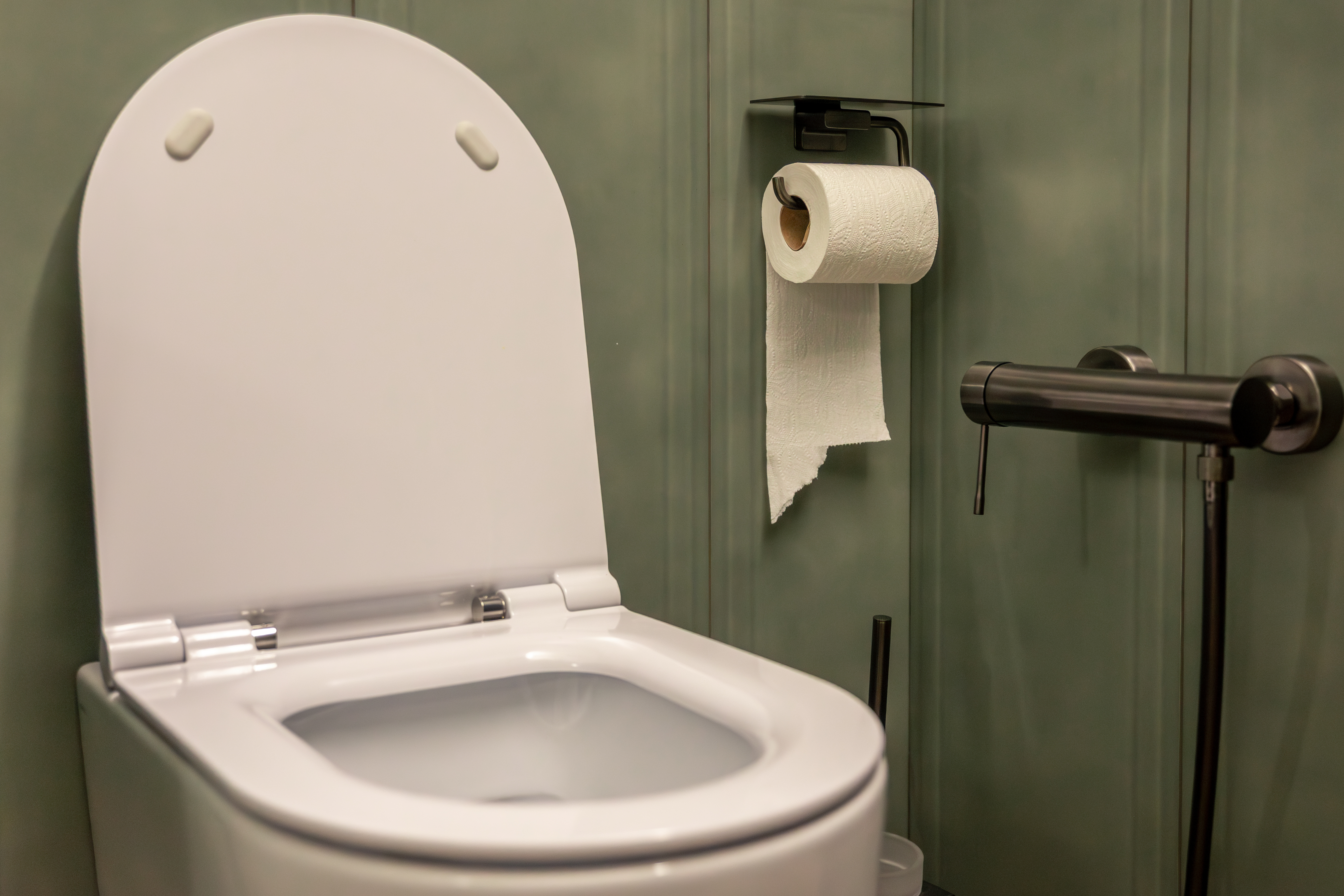 Vaso sanitário entupido: quais as causas? 